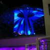 Berlin 2008