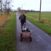 Tossens 2007